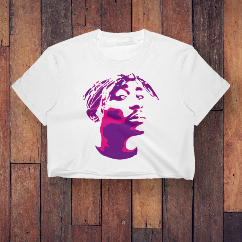 Hiphop crop t shirt with 2pan two tone graphic.